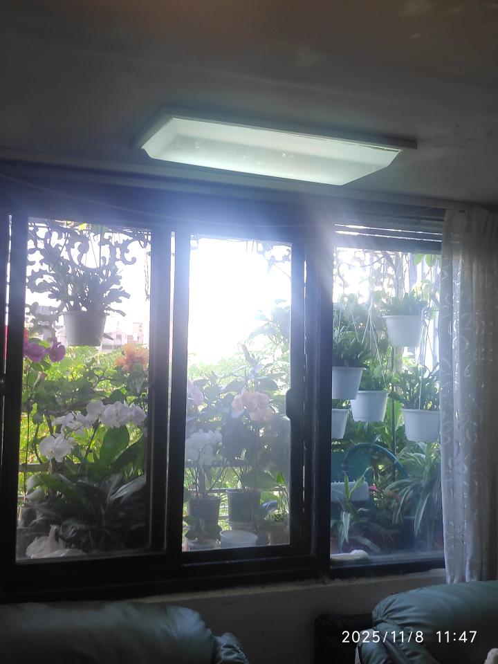 紗窗裝修案件圖片