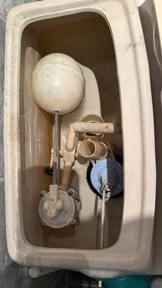 馬桶裝修案件圖片