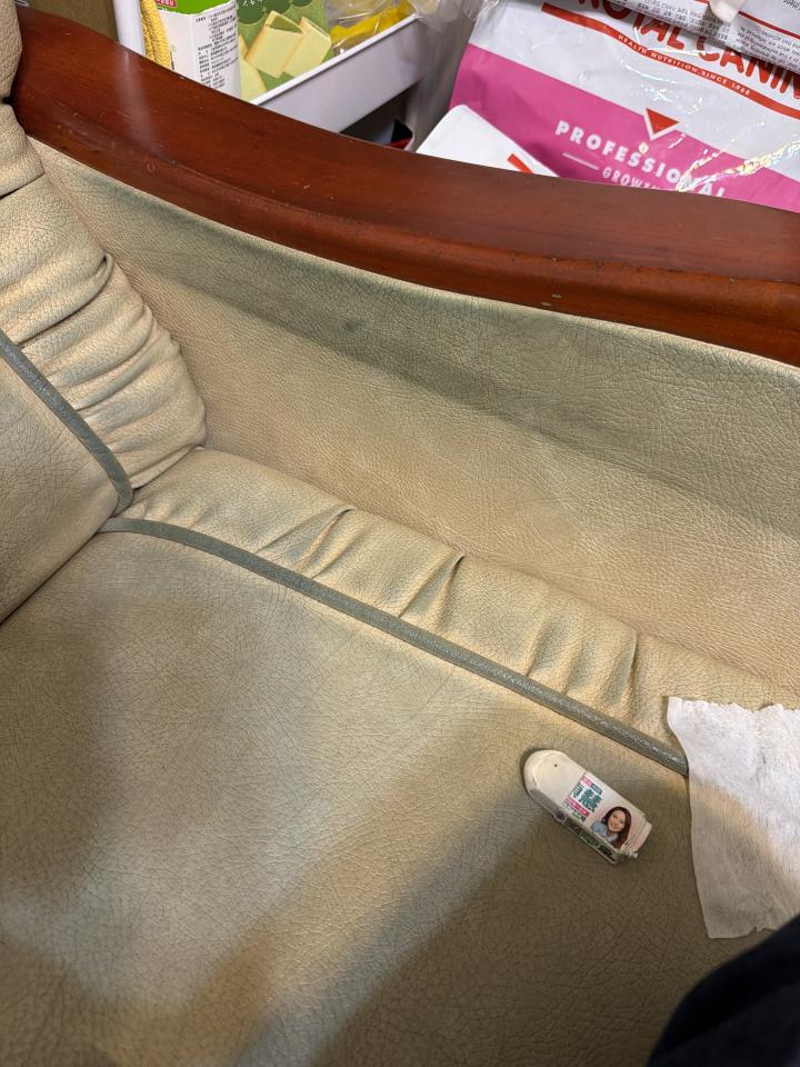 沙發清潔案件圖片