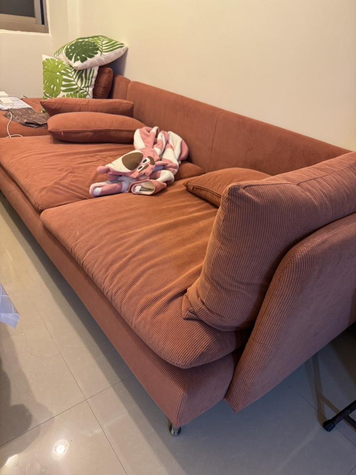 沙發清潔案件圖片