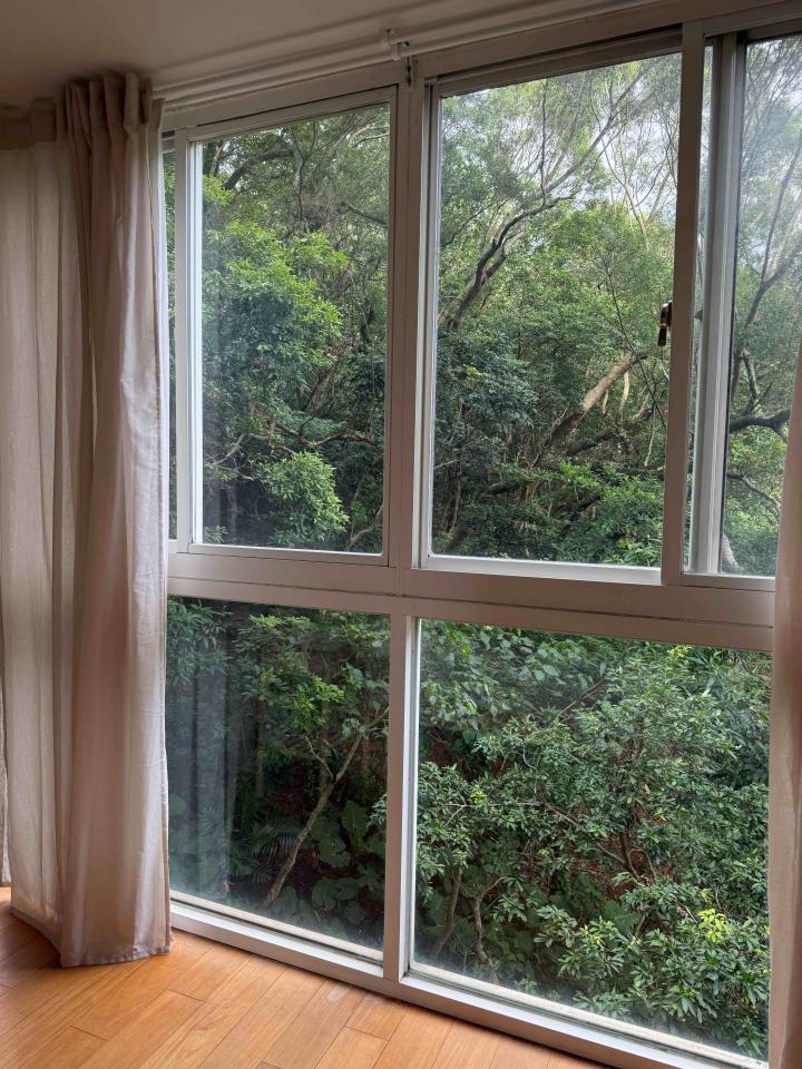 玻璃清潔案件圖片