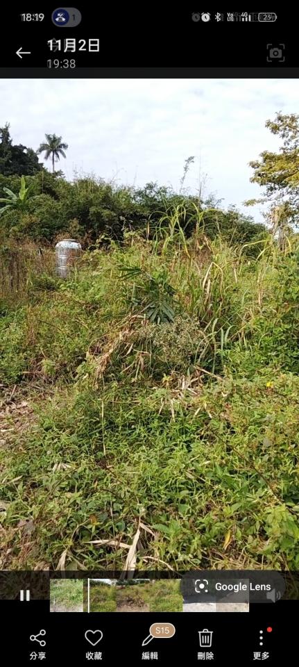 園藝維護案件圖片