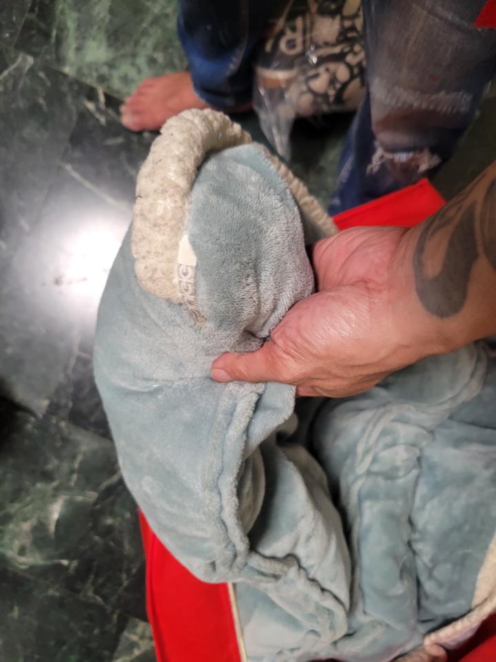 洗衣到府收送案件圖片