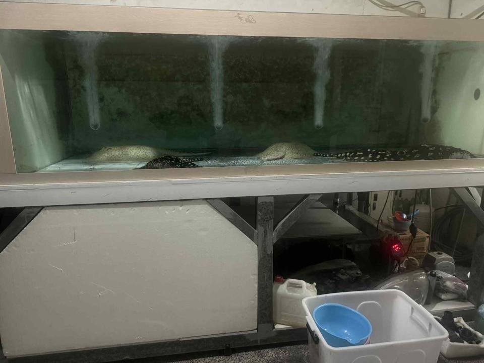 載貨運輸服務案件圖片