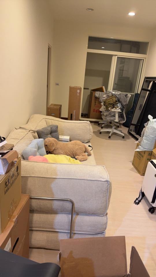 沙發清潔案件圖片