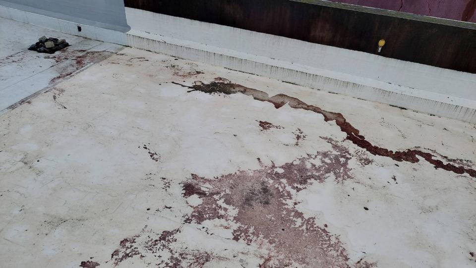 屋頂防水案件圖片