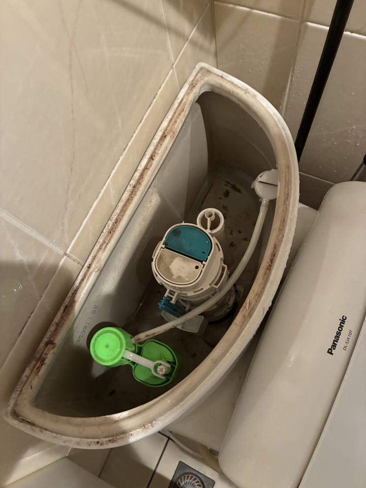 馬桶裝修案件圖片