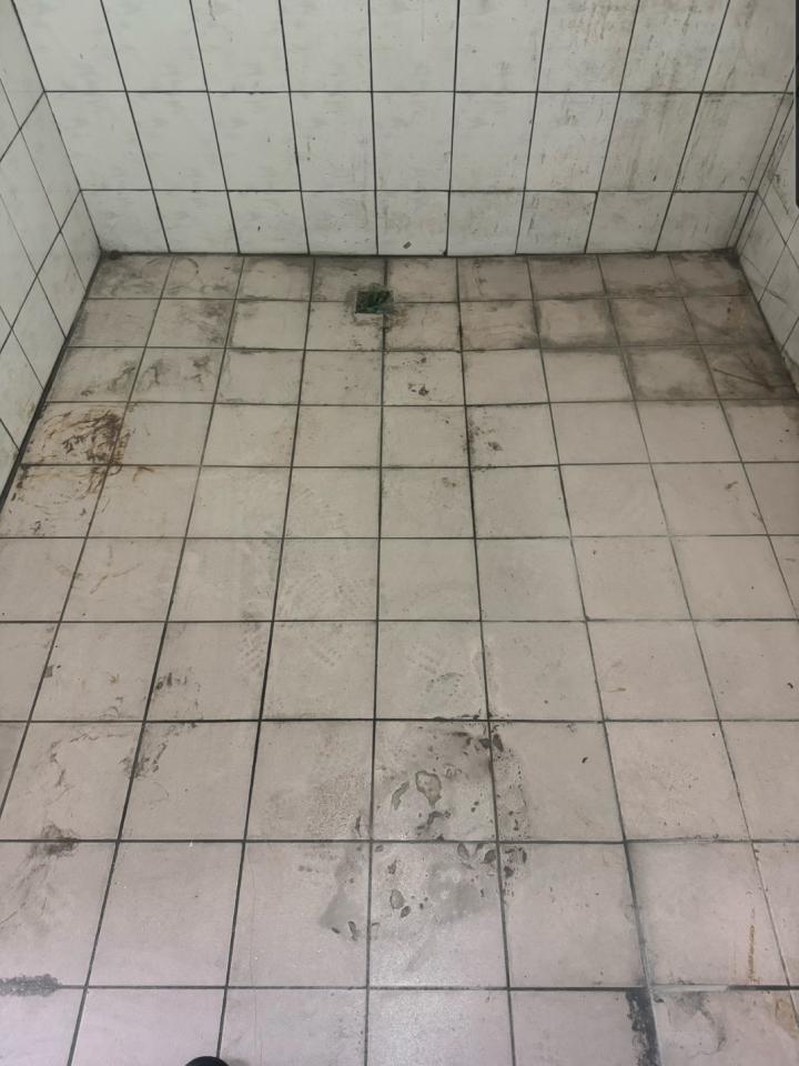 地板拋光打蠟案件圖片