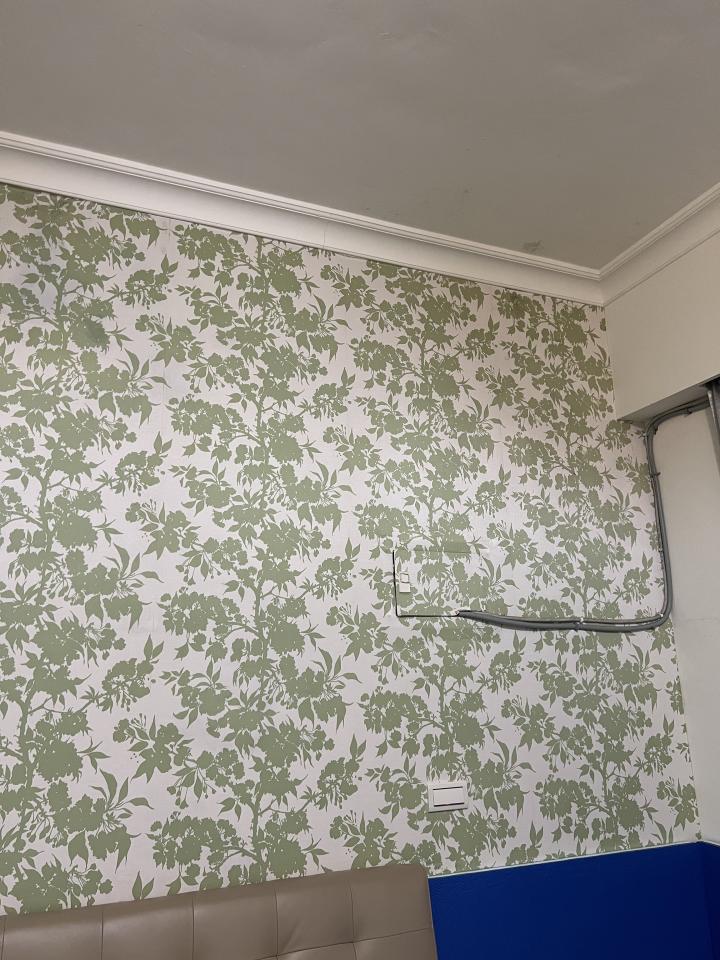 壁紙施工案件圖片