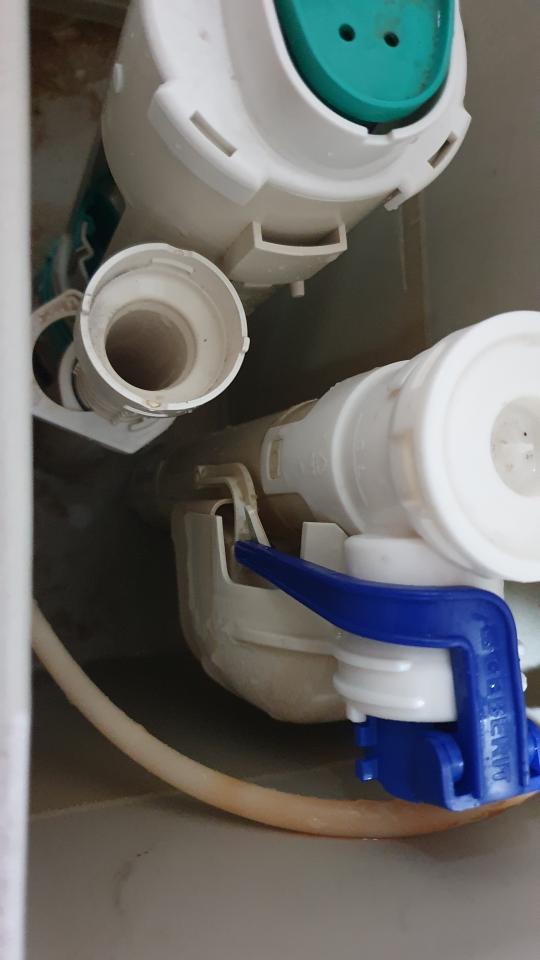 馬桶裝修案件圖片