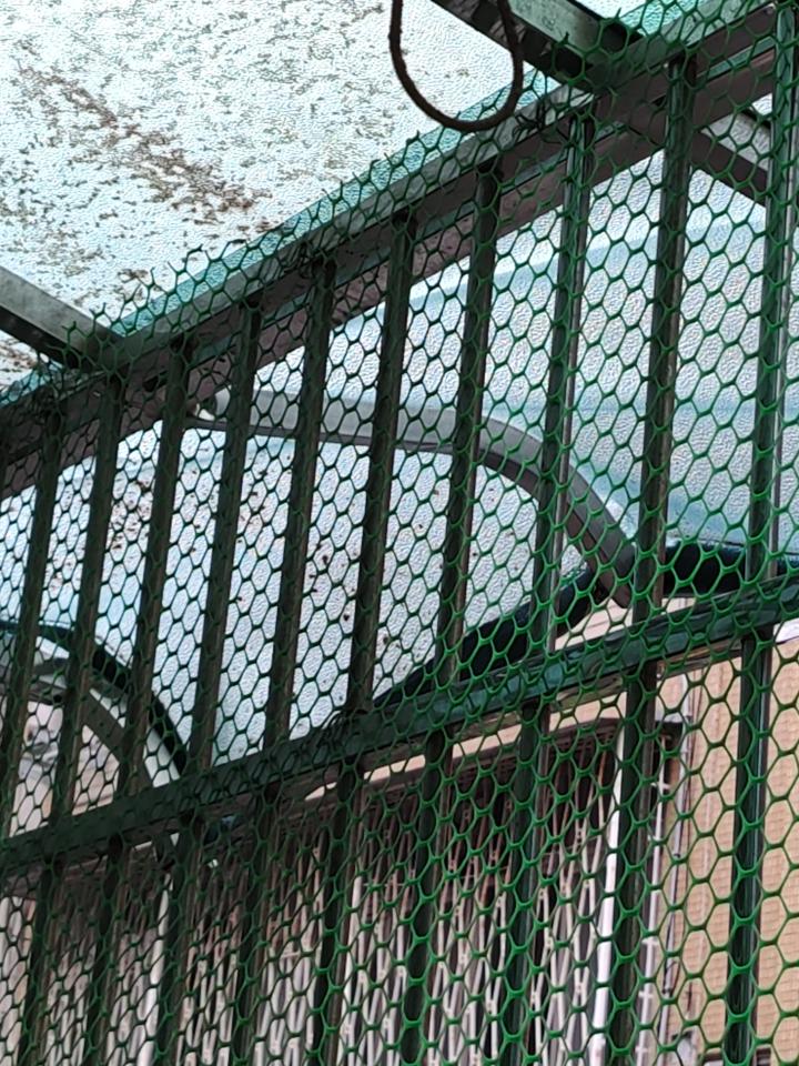 採光罩案件圖片