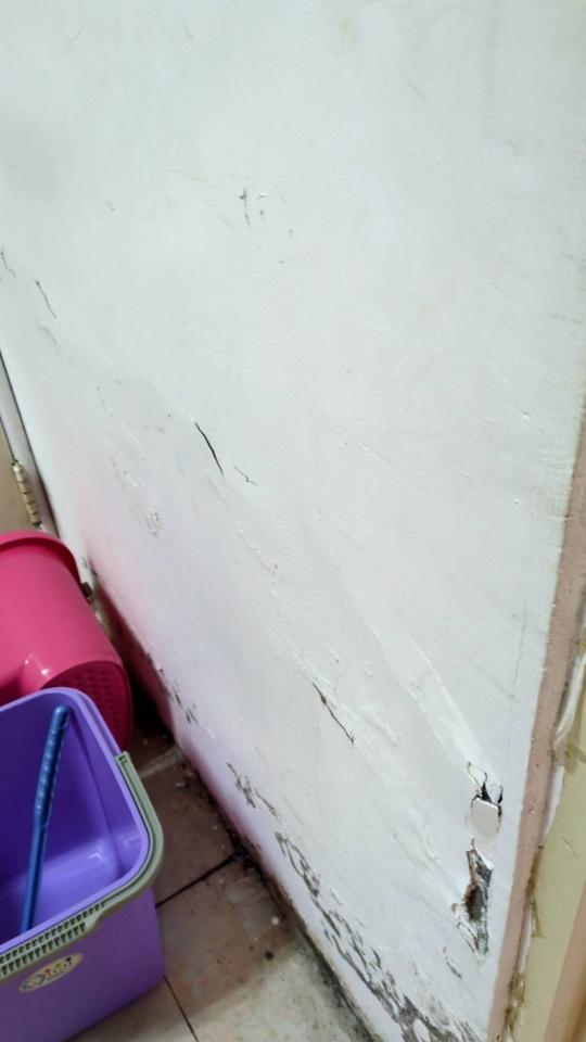 泥作/水泥施工案件圖片