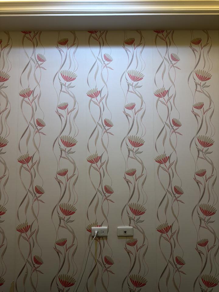 壁紙清除案件圖片