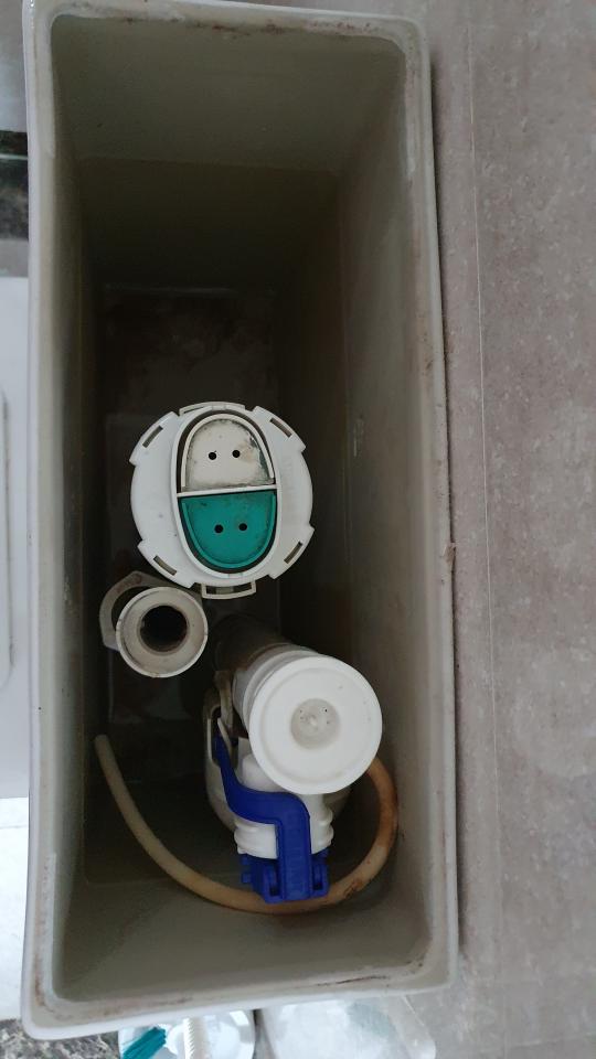 馬桶裝修案件圖片