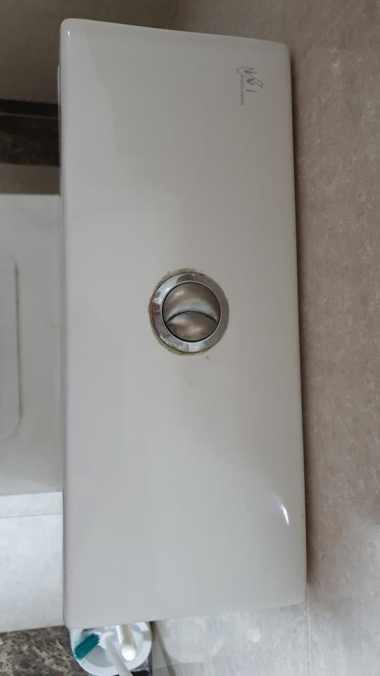 馬桶裝修案件圖片