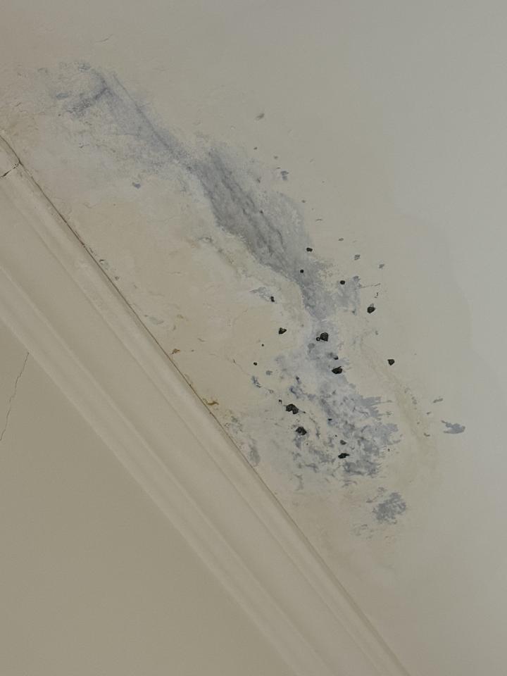 漏水處理案件圖片