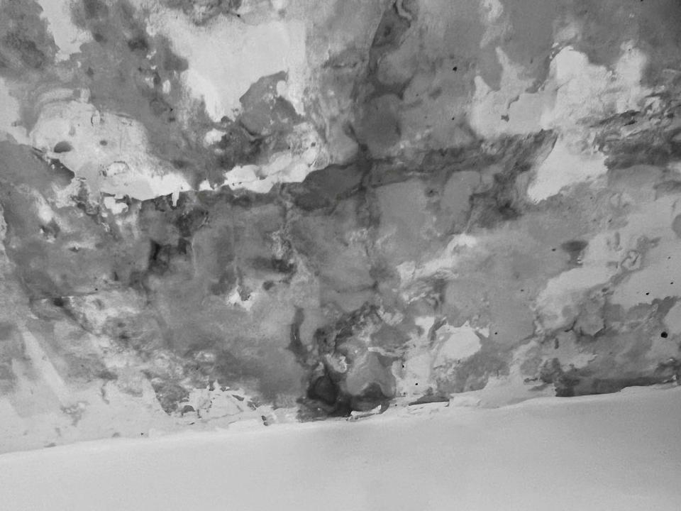 漏水處理案件圖片