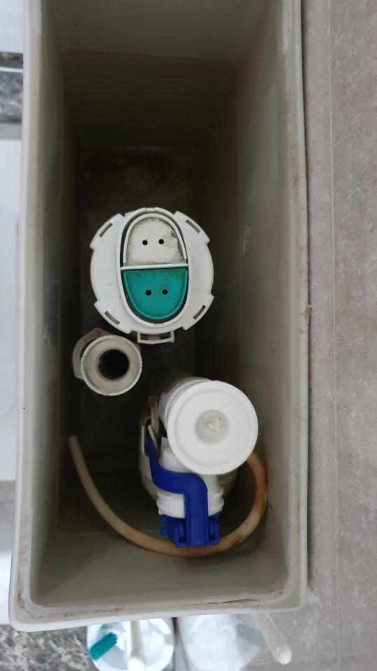 馬桶裝修案件圖片