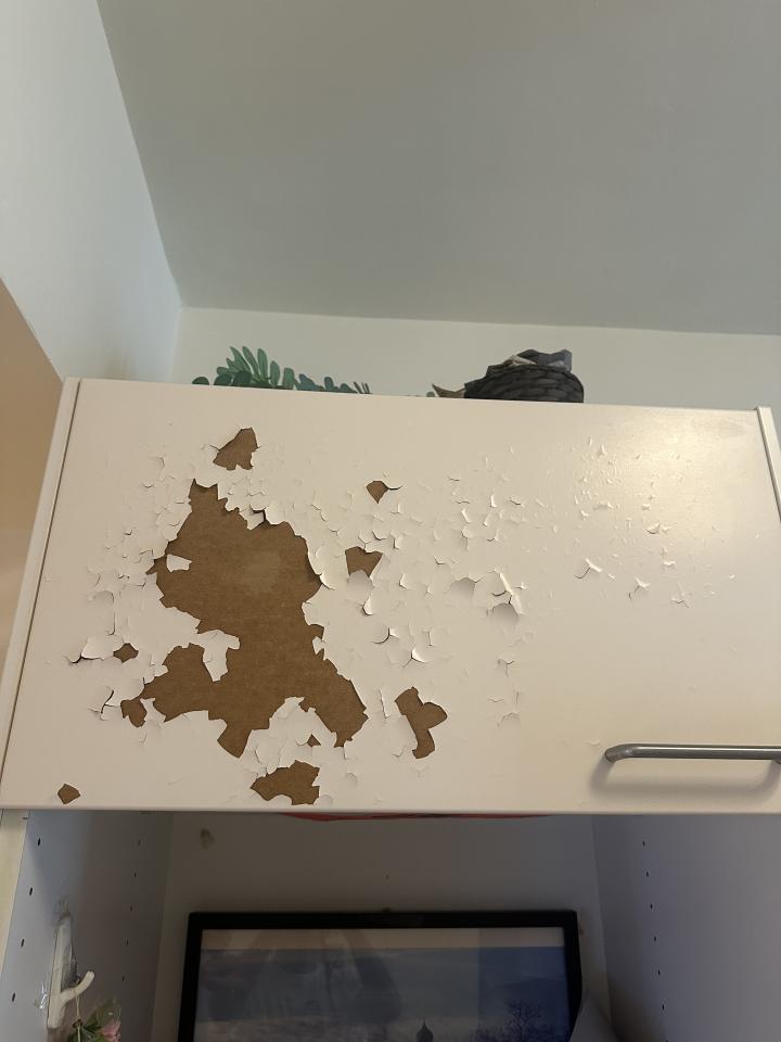 波音軟片施工案件圖片