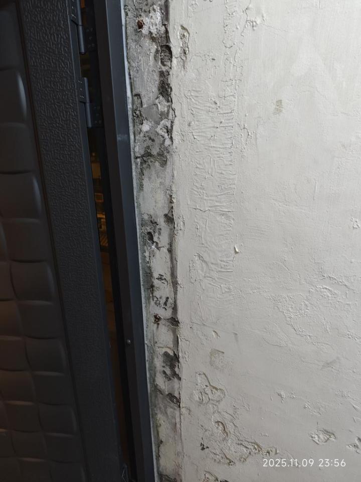 壁癌處理案件圖片