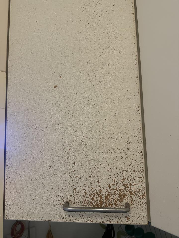 波音軟片施工案件圖片