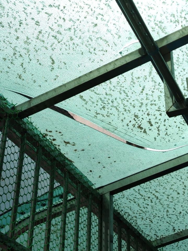 採光罩案件圖片