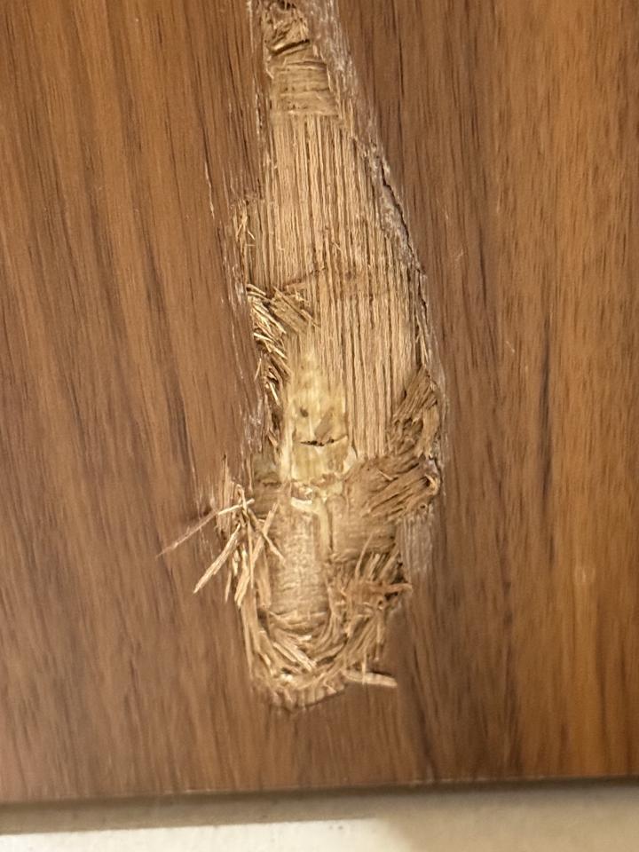 木工施工案件圖片