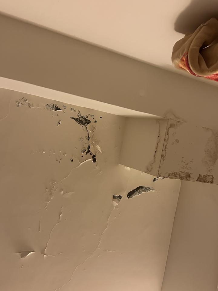 油漆工程案件圖片