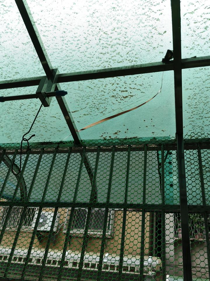 採光罩案件圖片