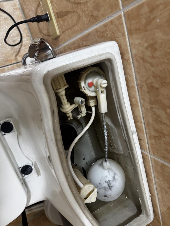 馬桶裝修案件圖片