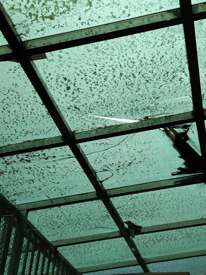 採光罩案件圖片