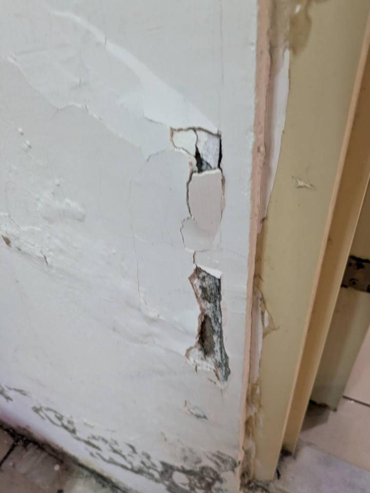 泥作/水泥施工案件圖片