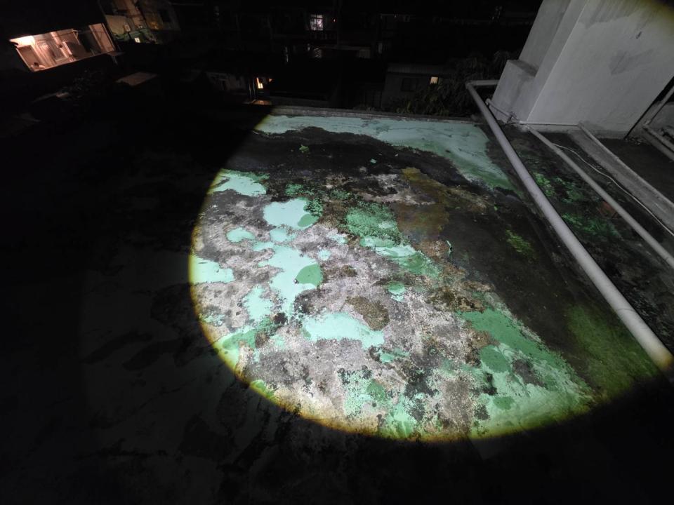 屋頂防水案件圖片