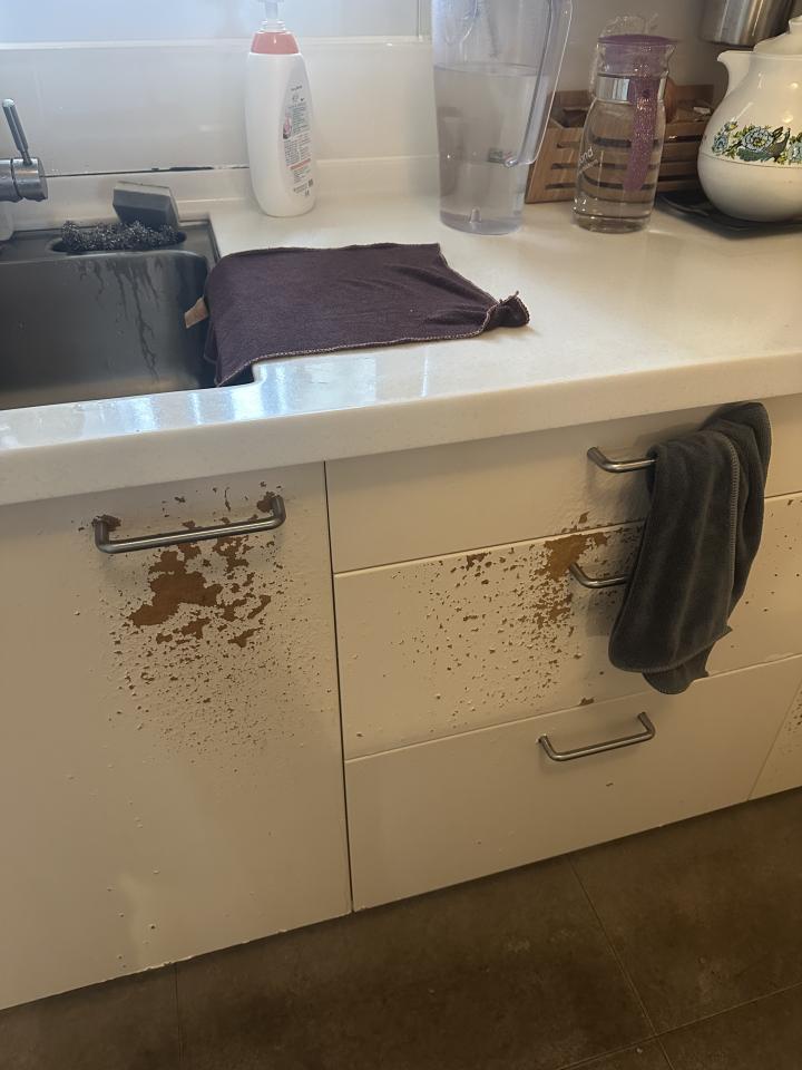 波音軟片施工案件圖片