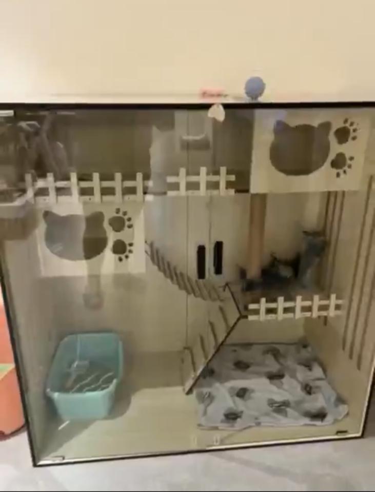 家具組裝案件圖片