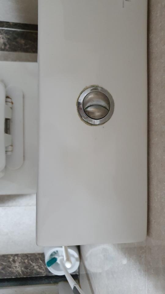 馬桶裝修案件圖片