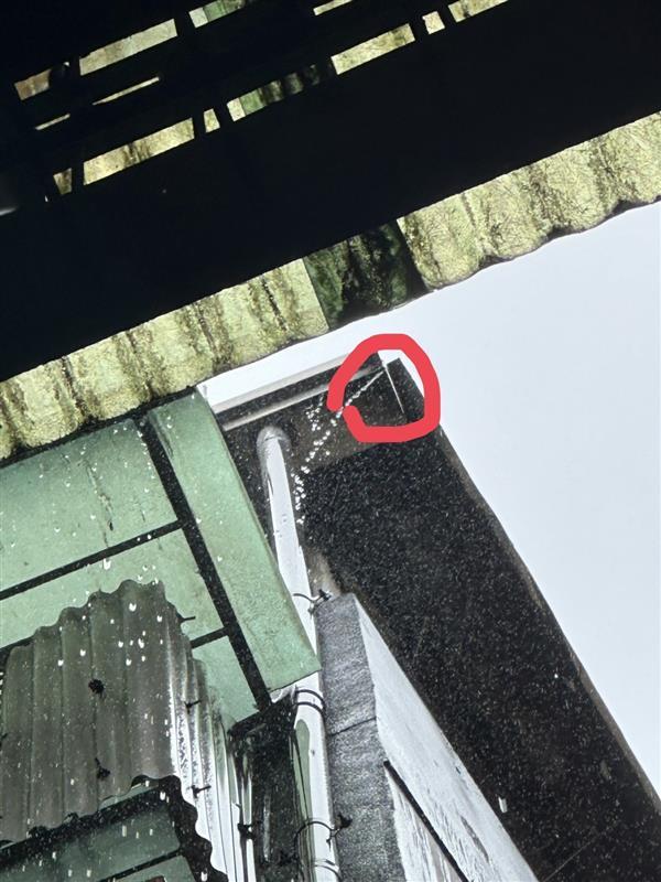 屋頂排水案件圖片