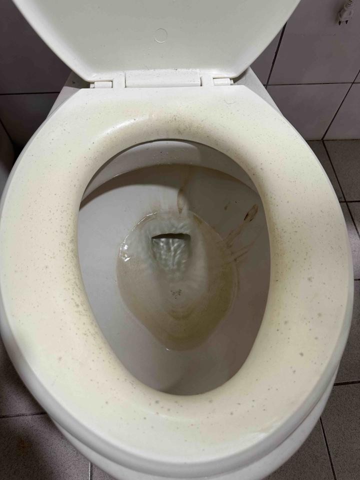 馬桶裝修案件圖片