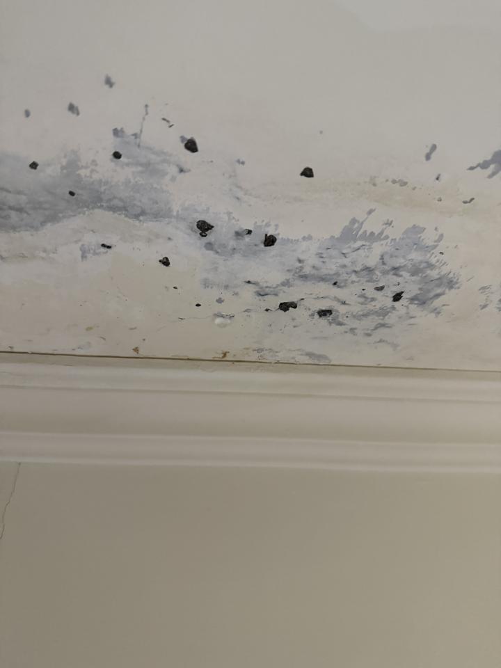 漏水處理案件圖片