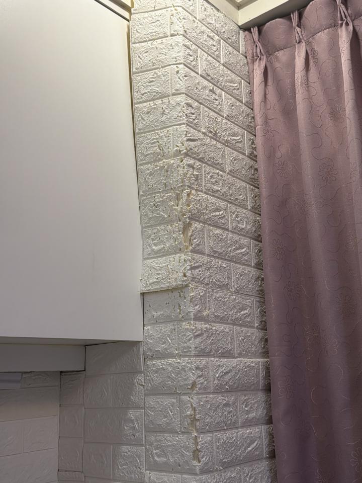 壁紙清除案件圖片