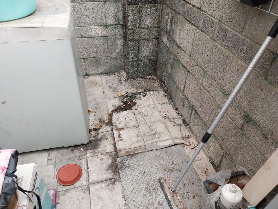 泥作/水泥施工案件圖片