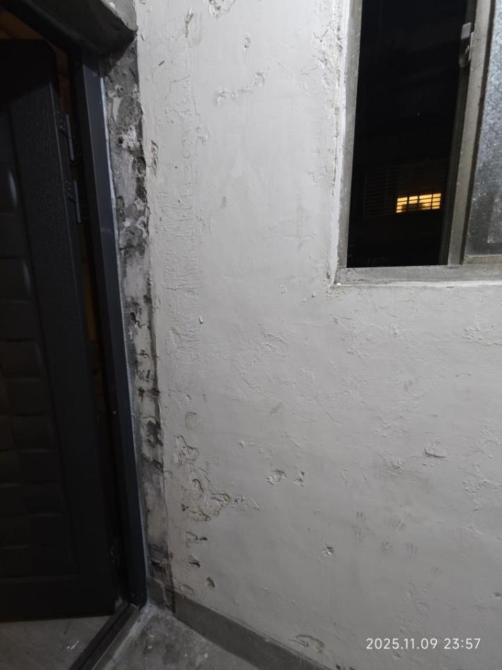 壁癌處理案件圖片