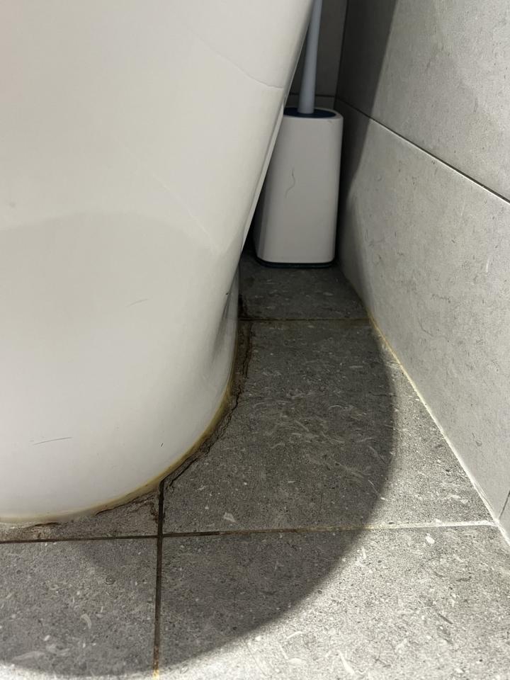 免治馬桶裝修案件圖片