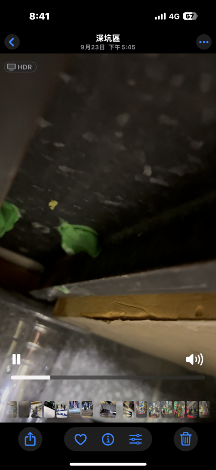 鐵皮屋頂案件圖片