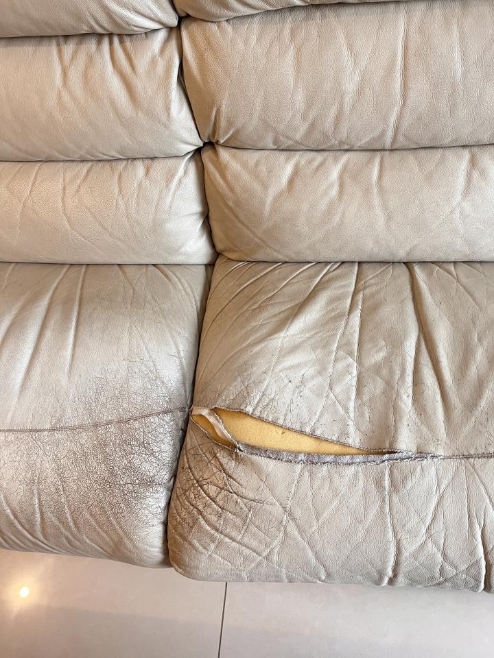 沙發修理案件圖片