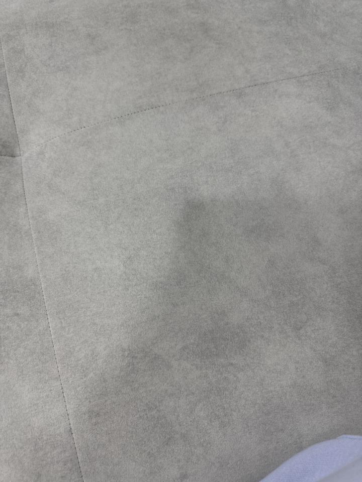 沙發清潔案件圖片