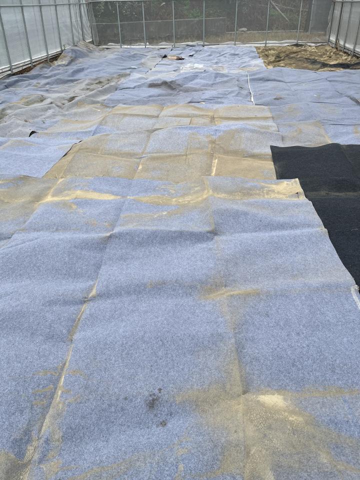 回頭車案件圖片