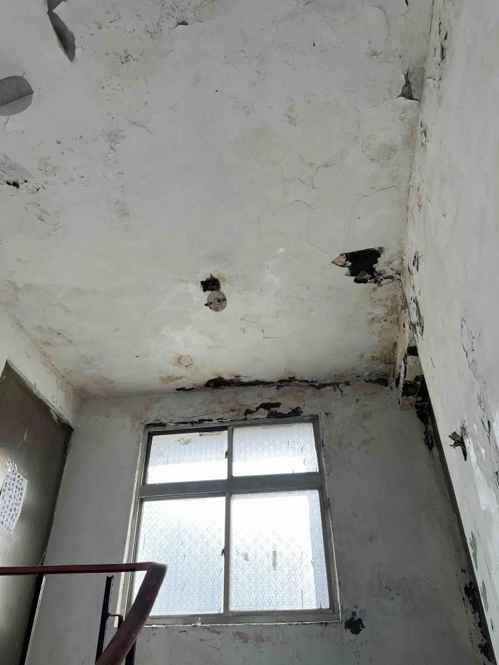 泥作/水泥施工案件圖片