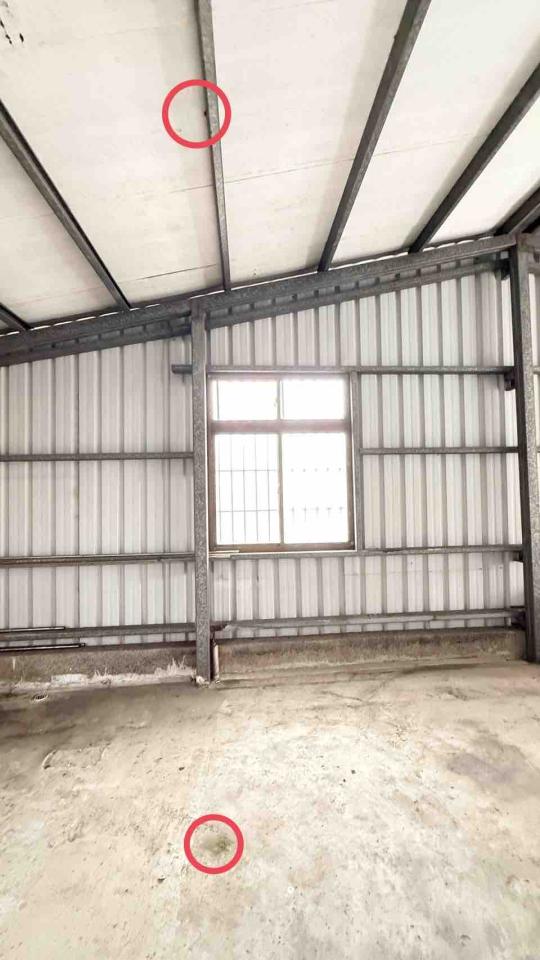 鐵皮屋頂案件圖片