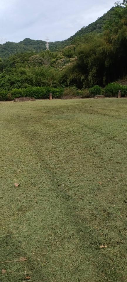 園藝維護案件圖片